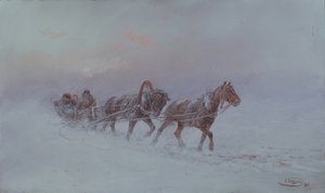 暴风雪，1901年