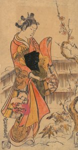 花园里的年轻女士。