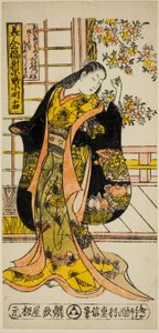 小野之町，选自《三美集》（Bijin sanpukutsui）