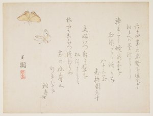 （蝴蝶） 作者 西山Ho