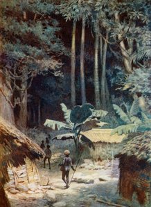 在1908年的美拉尼西亚森林的深处 作者 诺曼·哈迪