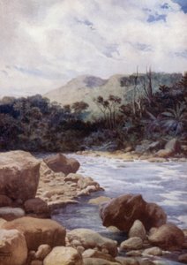急流、威廉斯河、埃罗曼加岛、新赫布里底群岛（彩色石版画） 作者 诺曼·哈迪