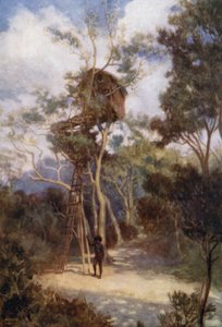 Tree House in British New Guinea (colour litho) 作者 诺曼·哈迪