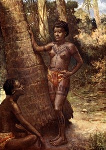 Rennell Island（波利尼西亚）的女性