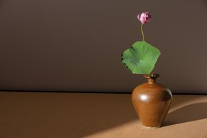 柿子釉的美萍 作者 北宋中文学校