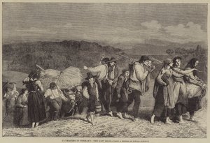 德国的干草制造，最后的负荷 作者 OA Sickert