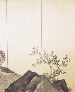 风景中的老虎