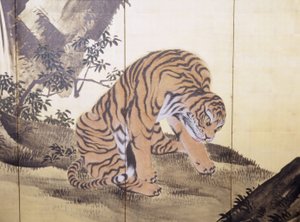 风景中的老虎