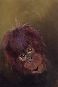 猩猩宝宝 2，2010 年（木板上的丙烯颜料） 作者 奥迪尔·基德