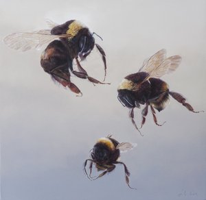 Bombus flight 1，2011 年（木板上的丙烯画） 作者 奥迪尔·基德