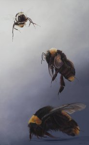 Bombus flight 2，2011 年（木板上的丙烯颜料） 作者 奥迪尔·基德
