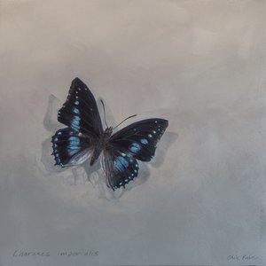 Charaxes imperialis 1 (a)，2014 年（木板上的丙烯颜料） 作者 奥迪尔·基德