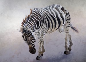 Equus burchelli 2，2010 年（丙烯酸画布） 作者 奥迪尔·基德