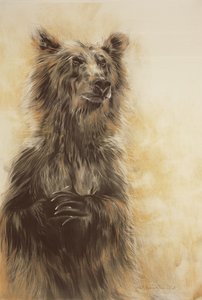 灰熊 1》，2002 年（碳素铅笔、木炭和粉笔） 作者 奥迪尔·基德