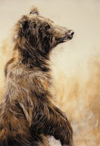 灰熊 2，2002 年（碳素铅笔、木炭和粉笔） 作者 奥迪尔·基德