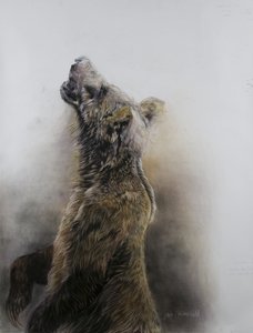 灰熊 3，2009 年（炭笔、轮廓线和粉笔画，法布里亚诺纸） 作者 奥迪尔·基德