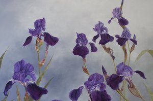 杂色鸢尾花（细节），2015 年（石膏木板上的丙烯酸颜料）