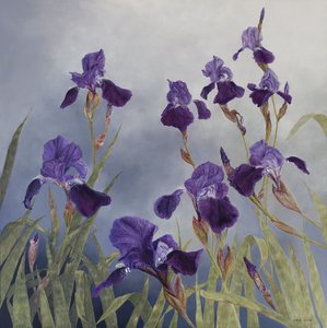 杂色鸢尾花，2015（石膏木板上的丙烯颜料）