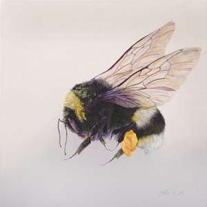 花粉囊 2，2011 年（木板上的丙烯颜料） 作者 奥迪尔·基德