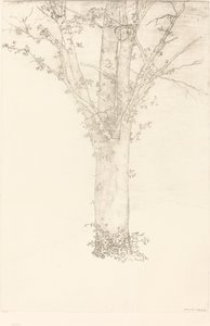 树 作者 奥迪隆·雷顿（Odilon Redon）