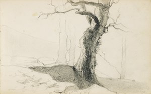 取自一张名为“巴斯克人的乡村”的相册，1862-63年 作者 奥迪隆·雷顿（Odilon Redon）