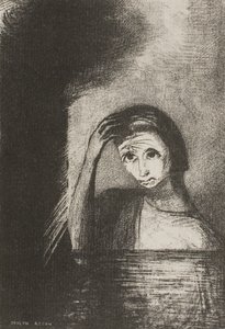 埃米尔-韦尔海伦的《灾难》序言 作者 奥迪隆·雷顿（Odilon Redon）