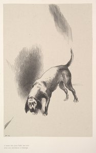 1896年，他以一种奇怪的表情盯着我。 作者 奥迪隆·雷顿（Odilon Redon）