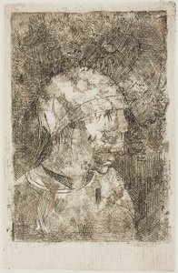 少女之首》（编译者题名） 作者 奥迪隆·雷顿（Odilon Redon）