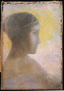 1895年，一位年轻女子的头像，头像 作者 奥迪隆·雷顿（Odilon Redon）