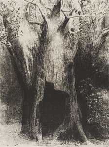 我陷入孤独。我住在身后的树上》，第 9 版，共 24 页 作者 奥迪隆·雷顿（Odilon Redon）