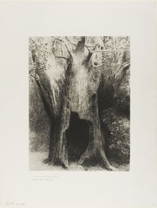 我陷入孤独。我住在身后的树上》，第 9 版，共 24 页 作者 奥迪隆·雷顿（Odilon Redon）