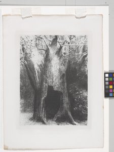 Je Me Suis Enfoncé Dans La Solitude（石版画，印在中国贴花纸上） 作者 奥迪隆·雷顿（Odilon Redon）