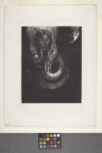 Oannès: "Moi, La Première Conscience Du Chaos..." (我，混沌的第一意识...)(石版画，贴花纸） 作者 奥迪隆·雷顿（Odilon Redon）