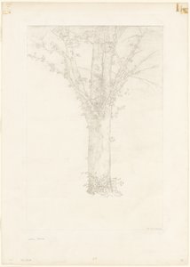 树 作者 奥迪隆·雷顿（Odilon Redon）