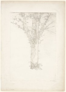 树 作者 奥迪隆·雷顿（Odilon Redon）