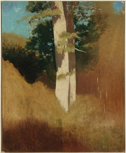 蓝蓝的天空树 作者 奥迪隆·雷顿（Odilon Redon）