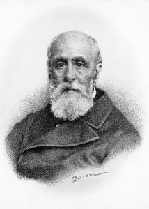 意大利诗人和爱国者乔瓦尼·鲁菲尼（Giovanni Ruffini，1807-1881 年）的肖像，奥多阿尔多·博拉尼（Odoardo Borrani，1833-1905 年）绘画后的版画