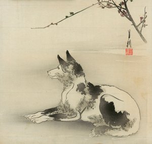 黑白狗