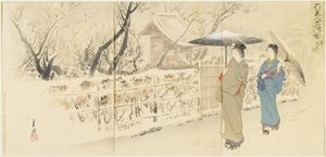 1895年12月，Kameido的Garyo_bai Plum