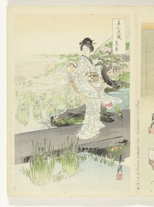 鸢尾花园 美女与花的比较（丛书名） Bijin hana kurabe（物体上的系列标题） 作者 竹川理三郎