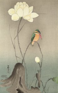 翠鸟和莲花，c.1910，