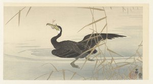 鸬鹚与鱼 作者 秋山布右卫门
