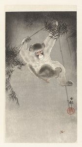 猴子，挂在竹枝上 作者 大原功臣