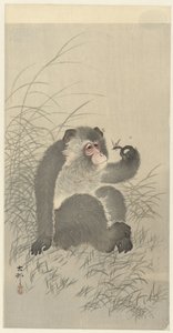 猴子与昆虫 作者 松树平吉