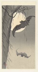 蝙蝠与满月 作者 大原功臣