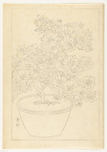 盆栽杜鹃花 作者 大原功臣