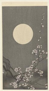满月时盛开的梅花 作者 大原功臣
