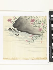 海滨鲜花 作者 大原功臣