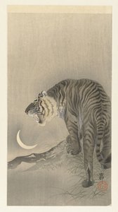 咆哮的老虎 作者 大原功臣