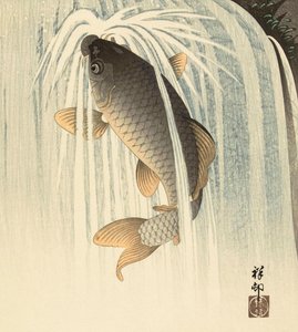 瀑布下的鲤鱼》，日本艺术家 Ohara Koson 创作 作者 大原功臣
